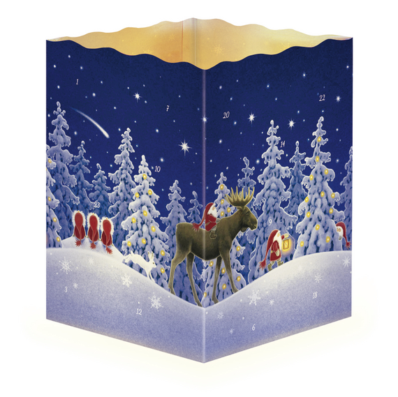 Cover zu Adventskalender "Nordische Nacht"