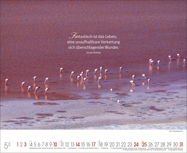 Goldene Worte, Innenansicht #5