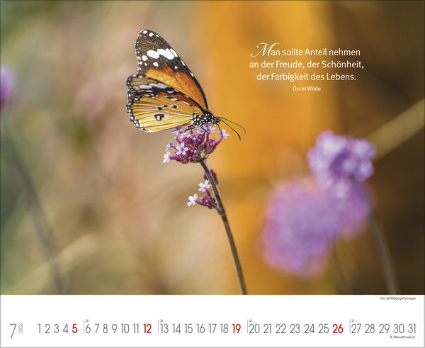 Goldene Worte, Innenansicht #7