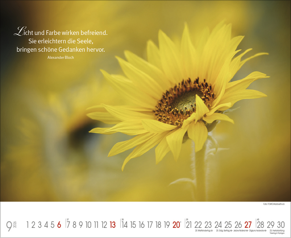 Goldene Worte, Innenansicht #9