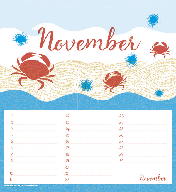 Geburtstagskalender Vitamin Sea, Innenansicht #11