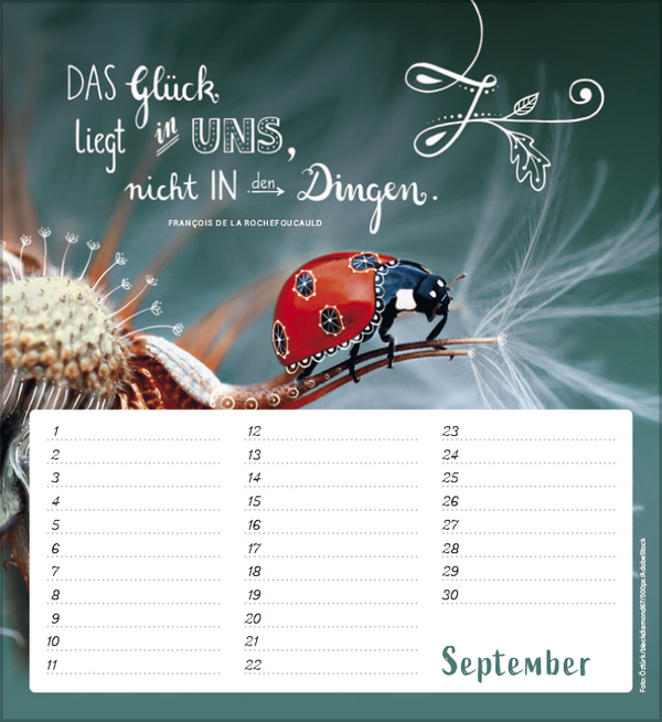 Geburtstagskalender Im herzen barfuß, Innenansicht #9