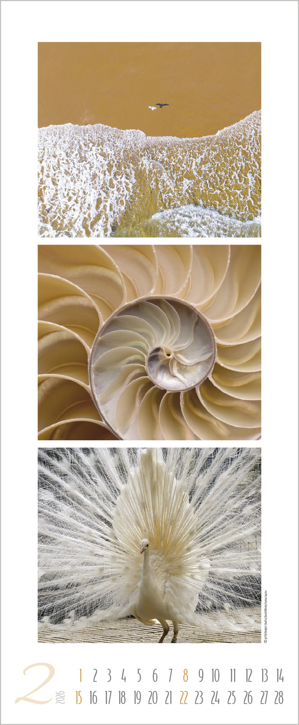 Colour Triplets 2026, Innenansicht #2