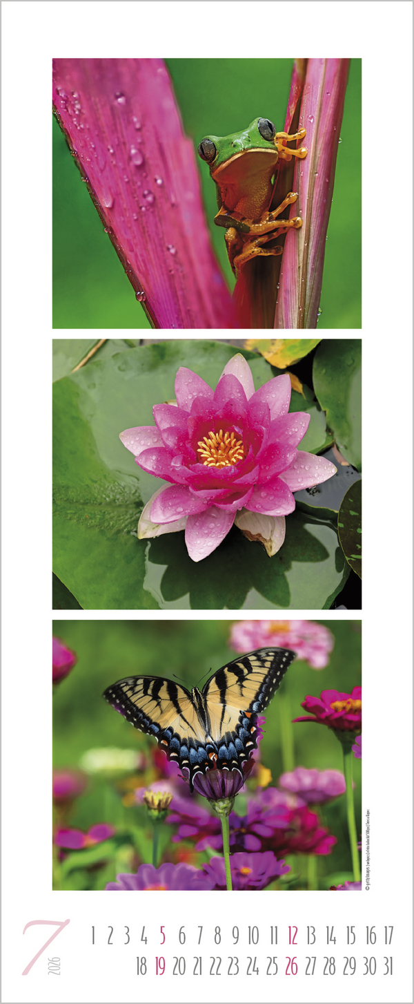 Colour Triplets 2026, Innenansicht #7