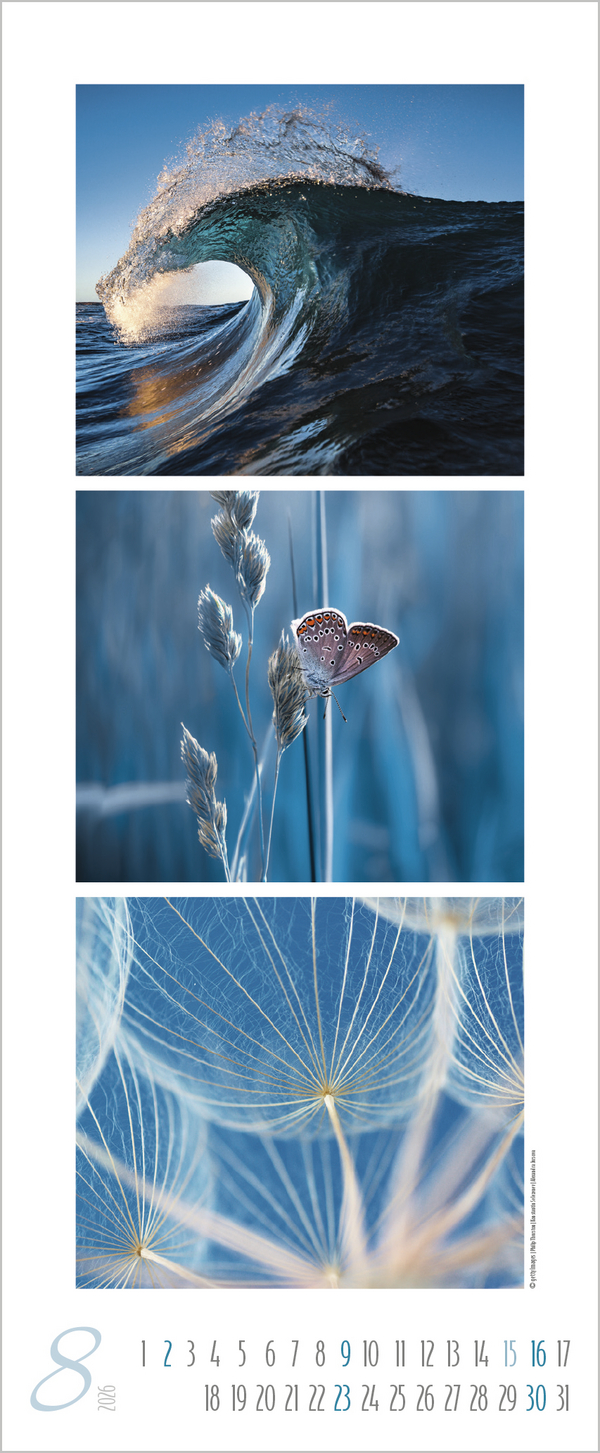 Colour Triplets 2026, Innenansicht #8