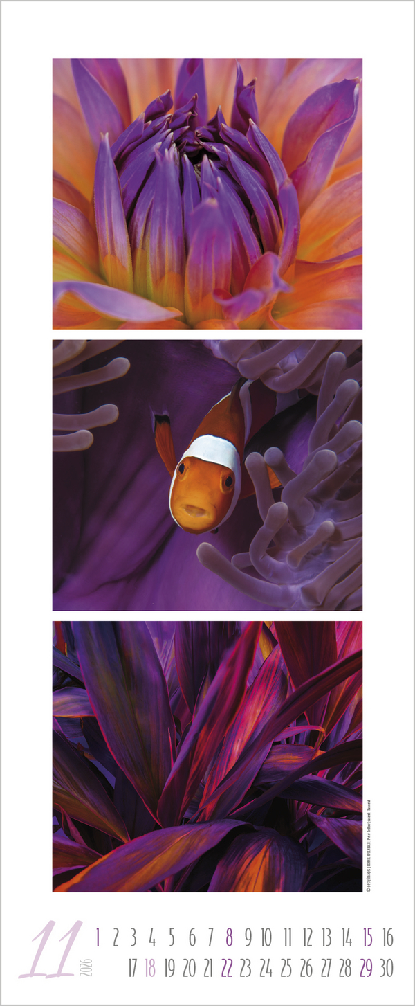 Colour Triplets 2026, Innenansicht #11