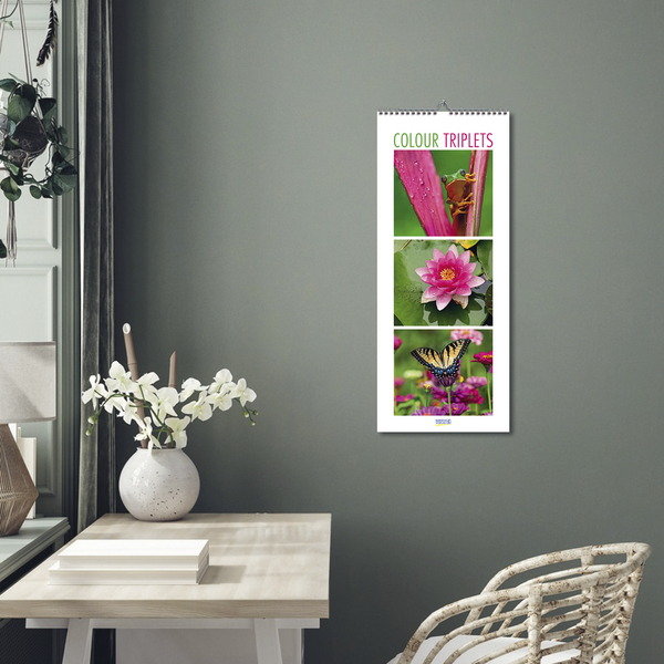 Colour Triplets 2026, Innenansicht #16