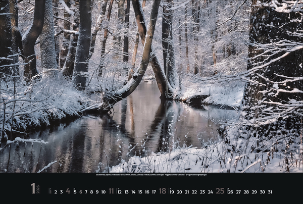 Magische Wälder 2026, Innenansicht #1