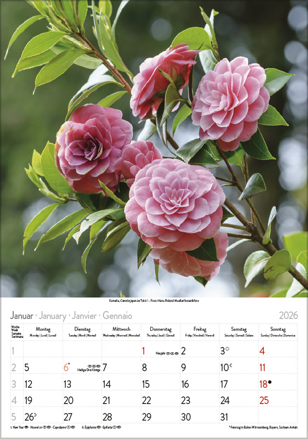 Bl&uuml;tenzauber 2026, Innenansicht #1