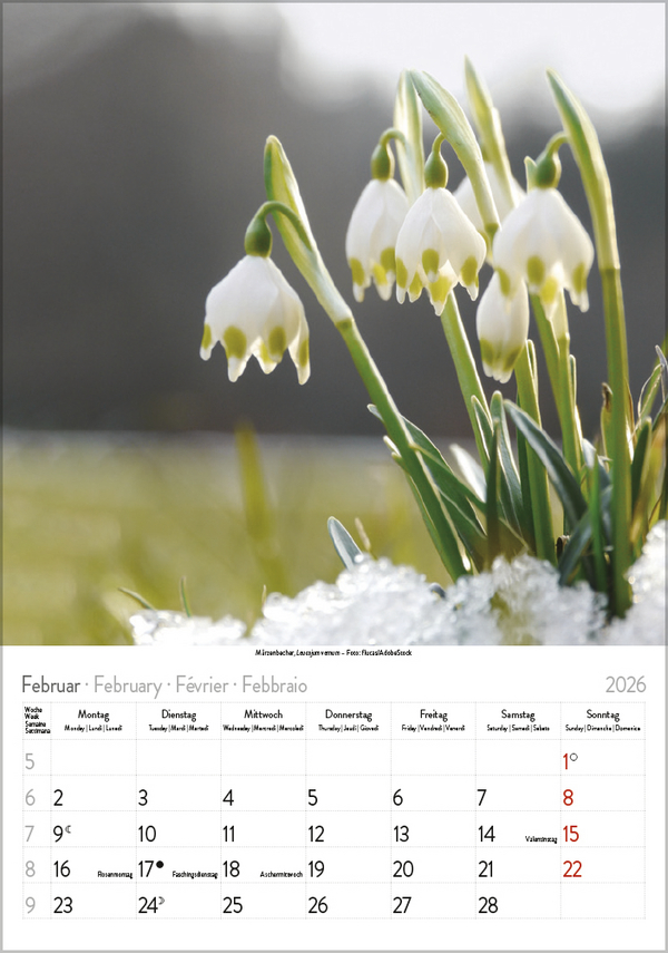 Bl&uuml;tenzauber 2026, Innenansicht #2