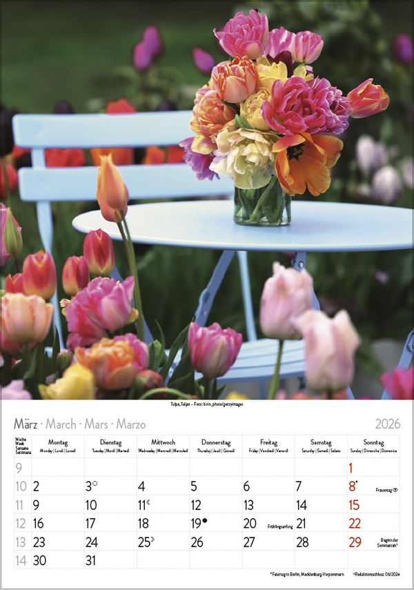 Bl&uuml;tenzauber 2026, Innenansicht #3