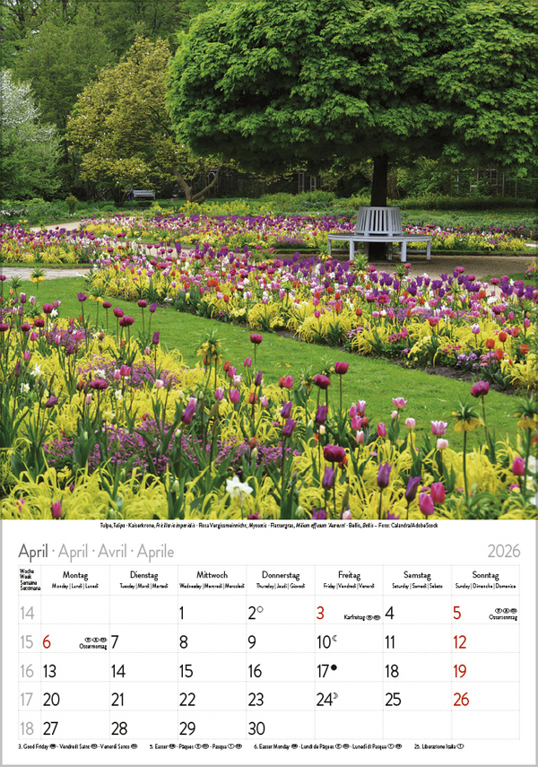 Bl&uuml;tenzauber 2026, Innenansicht #4