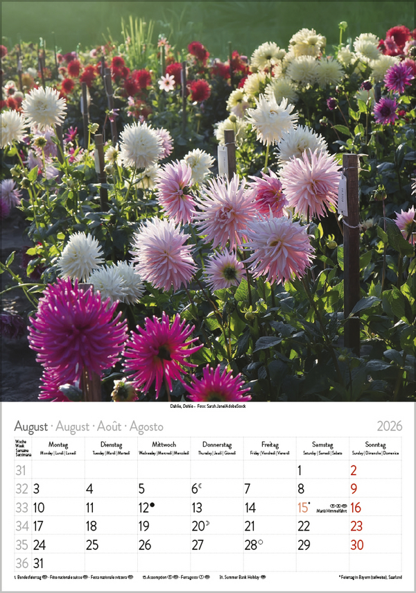 Bl&uuml;tenzauber 2026, Innenansicht #8