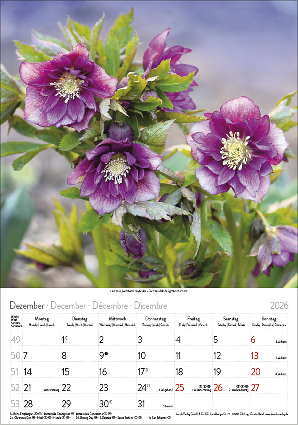 Bl&uuml;tenzauber 2026, Innenansicht #12