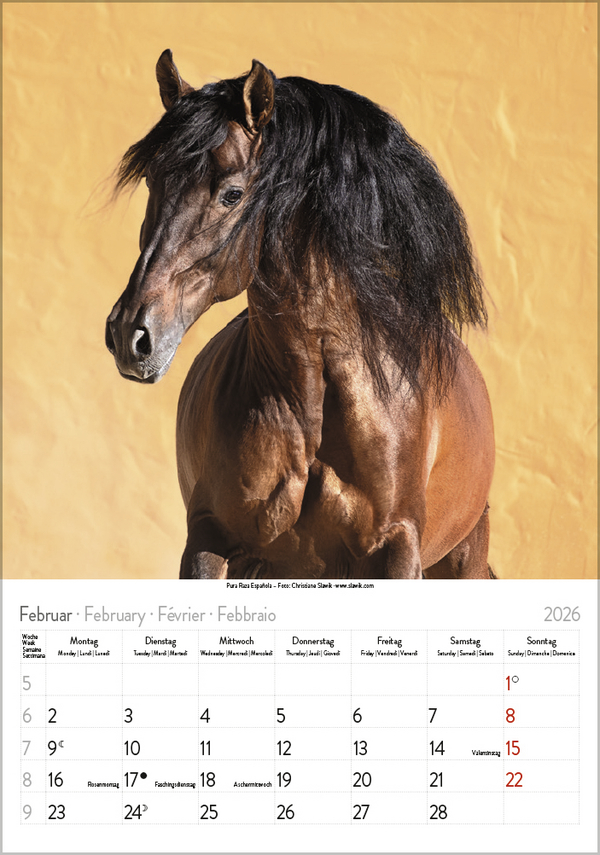 Pferde 2026, Innenansicht #2