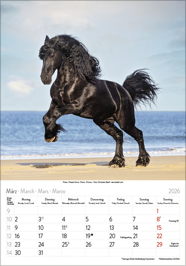 Pferde 2026, Innenansicht #3