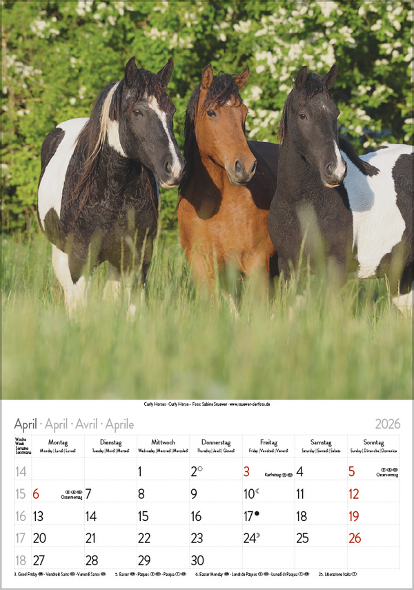 Pferde 2026, Innenansicht #4