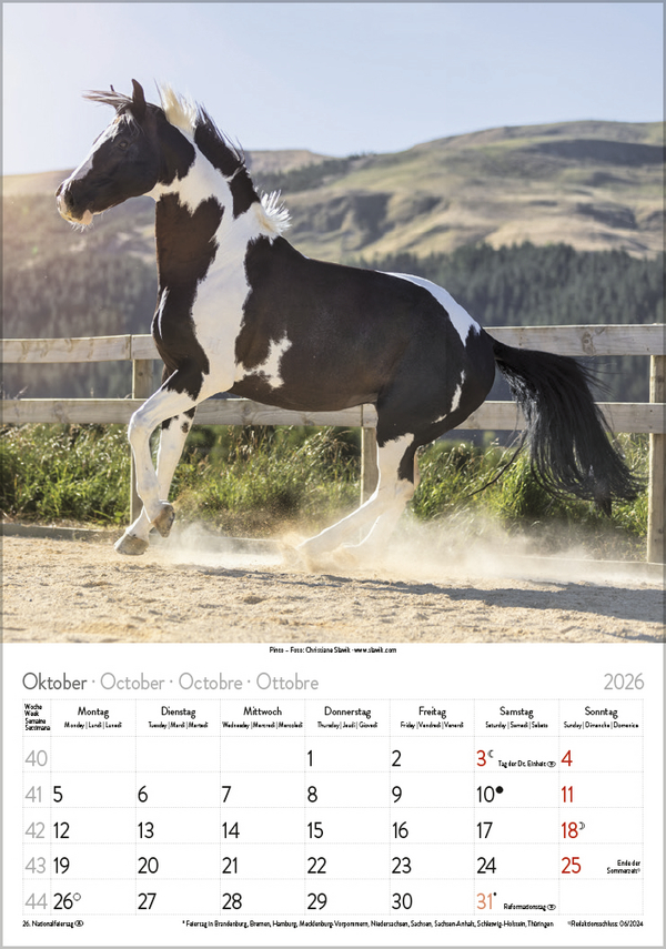 Pferde 2026, Innenansicht #10