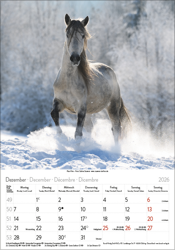 Pferde 2026, Innenansicht #12