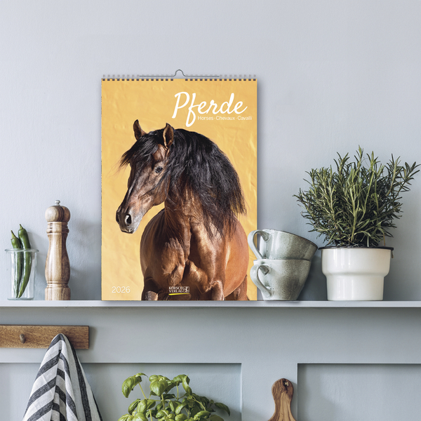 Pferde 2026, Innenansicht #16