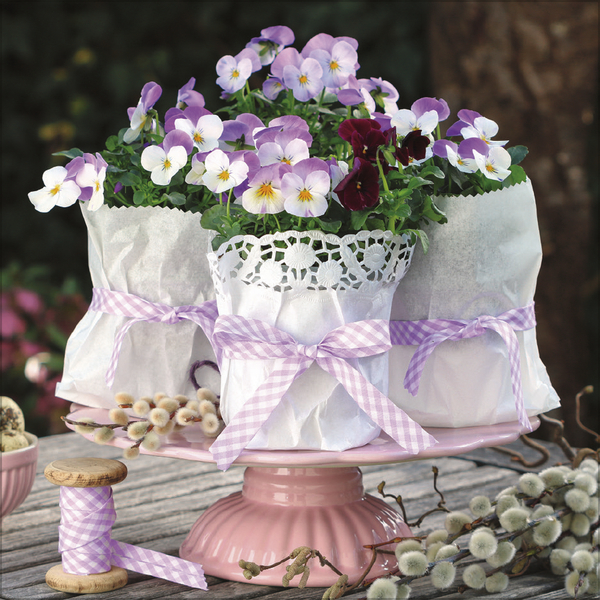 Land & Lust 2026, Innenansicht #2