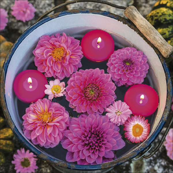 Land & Lust 2026, Innenansicht #5