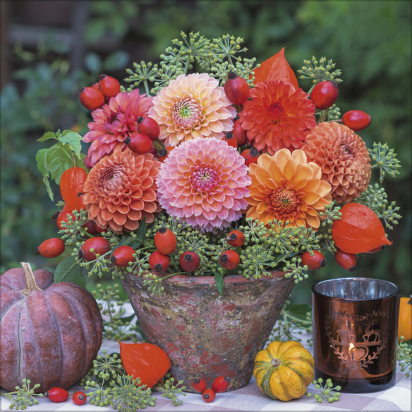 Land & Lust 2026, Innenansicht #8