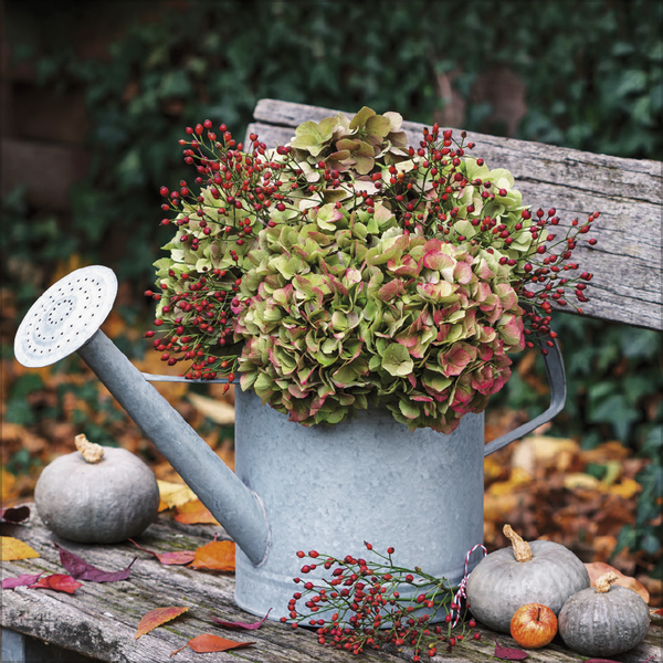 Land & Lust 2026, Innenansicht #11