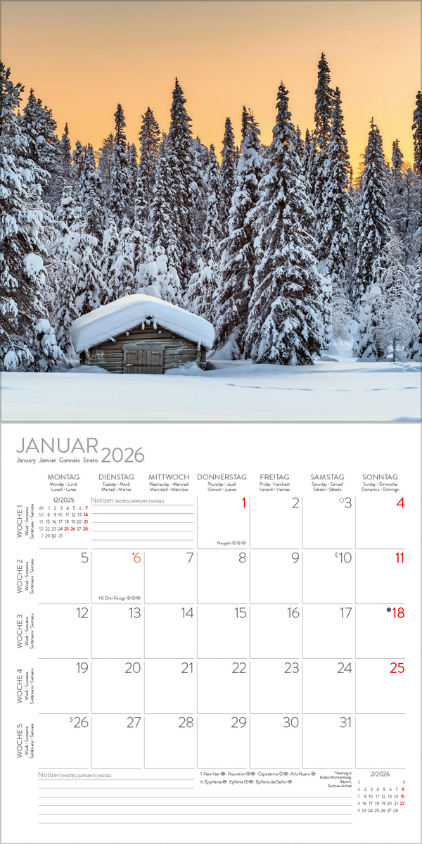 Magische Wälder 2026, Innenansicht #1