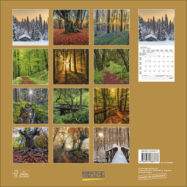 Magische Wälder 2026, Innenansicht #13