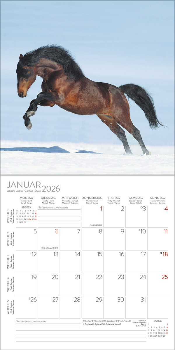 Horses 2026, Innenansicht #1