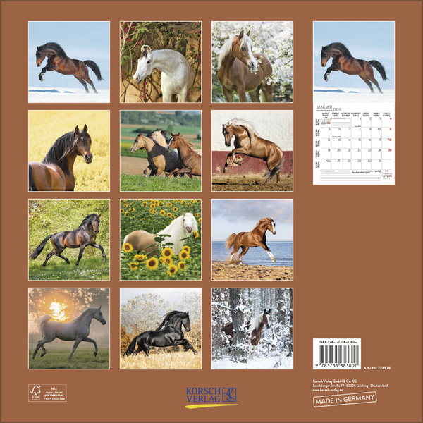 Horses 2026, Innenansicht #13
