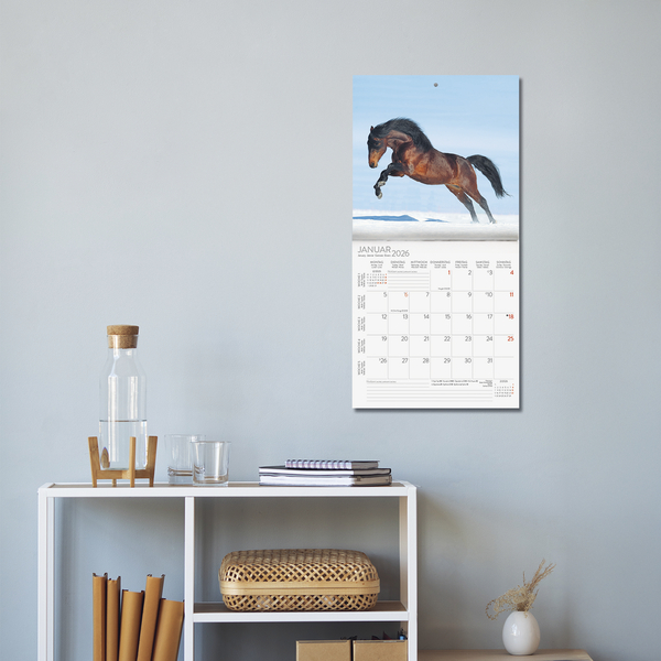 Horses 2026, Innenansicht #16