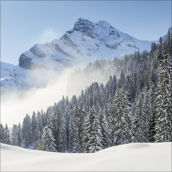 Alpen 2026, Innenansicht #2