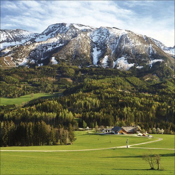 Alpen 2026, Innenansicht #4