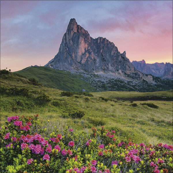 Alpen 2026, Innenansicht #6