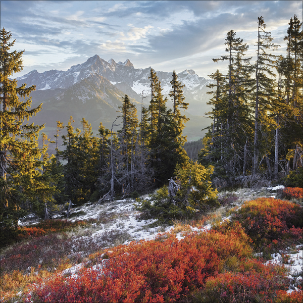 Alpen 2026, Innenansicht #11