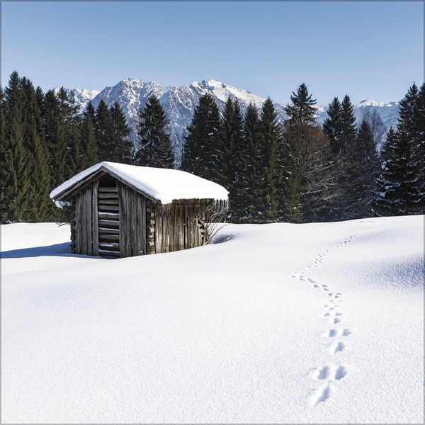Alpen 2026, Innenansicht #12
