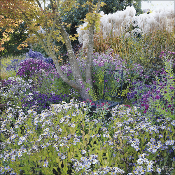 Gartenträume 2026, Innenansicht #10