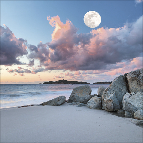 Der gro&szlig;e Mondplaner 2026, Innenansicht #11