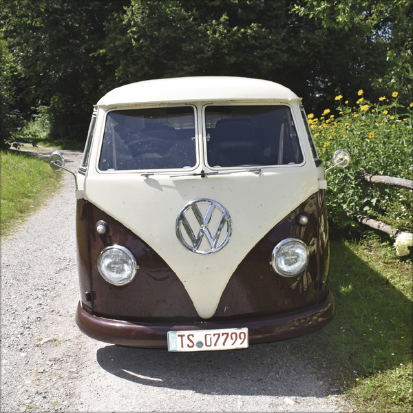 Kult-Transporter 2026, Innenansicht #7