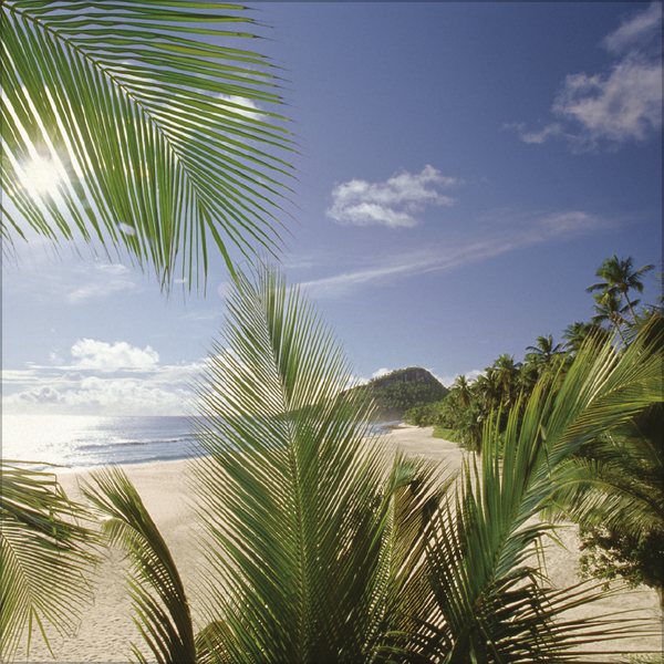 Trauminseln 2026, Innenansicht #2