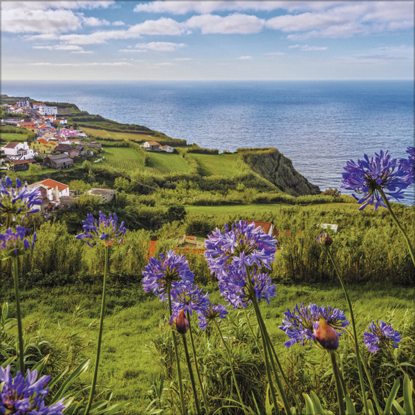 Trauminseln 2026, Innenansicht #6