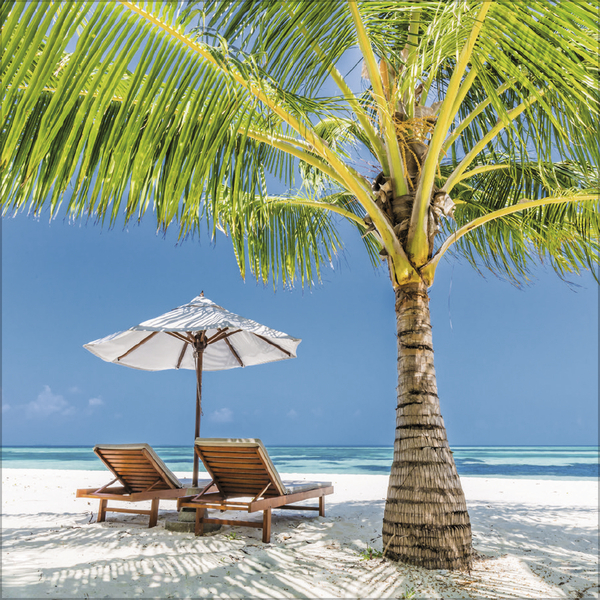 Trauminseln 2026, Innenansicht #8