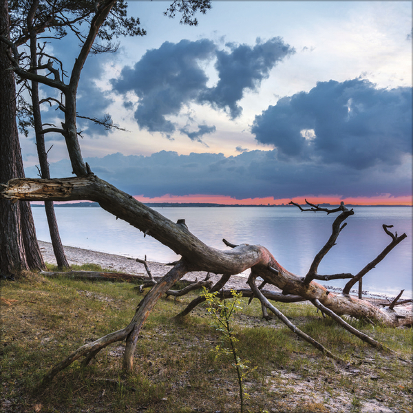 Meerblicke - Nord- und Ostsee 2026, Innenansicht #9