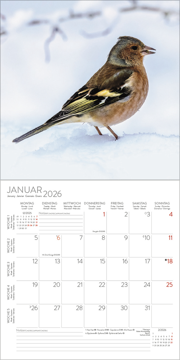 V&ouml;gel 2026, Innenansicht #1