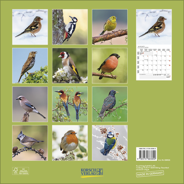 V&ouml;gel 2026, Innenansicht #13