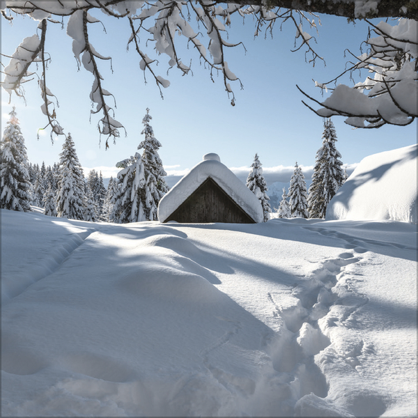 Augenblicke der Stille 2026, Innenansicht #2