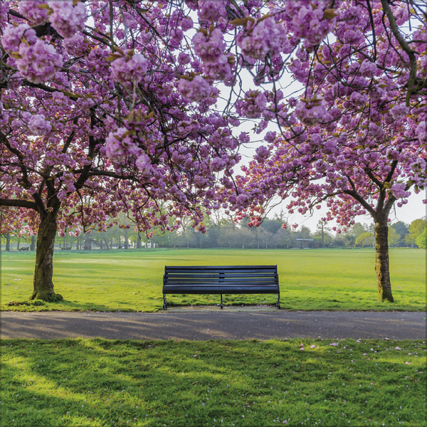 Augenblicke der Stille 2026, Innenansicht #3