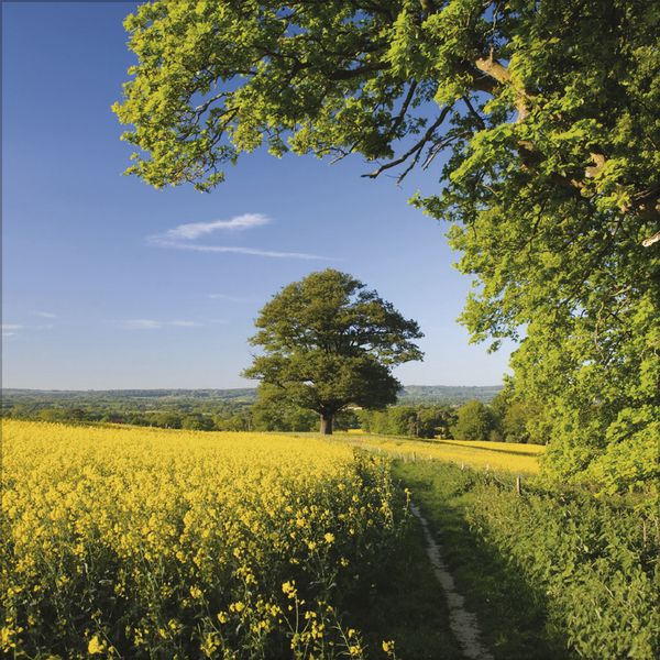 Augenblicke der Stille 2026, Innenansicht #4